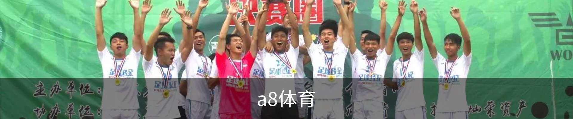 a8体育